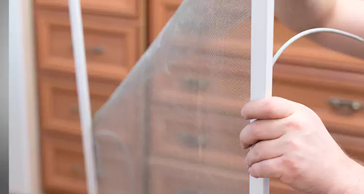 Privacy Mesh Screen Door Installation in San Bruno, CA