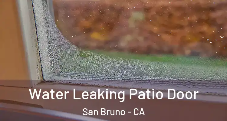  Water Leaking Patio Door San Bruno - CA